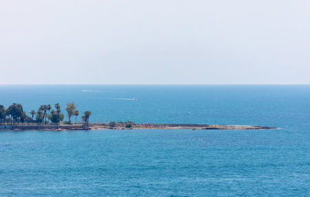 Island in the sea with palm trees.