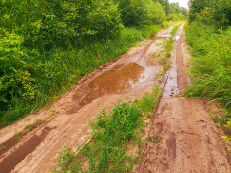 Dirt road with puddles after rain.の写真素材
