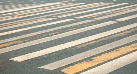 Zebra on asphalt at the road crossing. Backgroundの写真素材