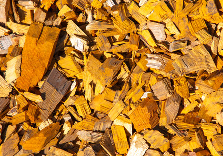 Decorative sawdust on the ground as a background.の写真素材