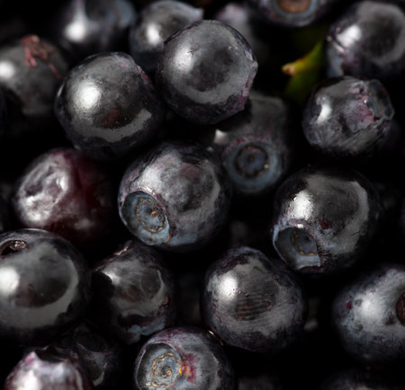Close-up of blueberries as a background. macro.の写真素材