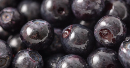 Close-up of blueberries as a background. macro.の写真素材