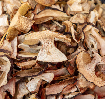 Dried porcini mushrooms as a background. Close-up.の写真素材