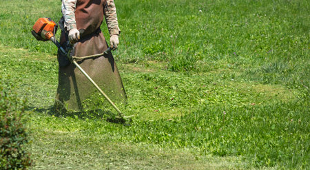 A man mows green grass with a petrol trimmer.