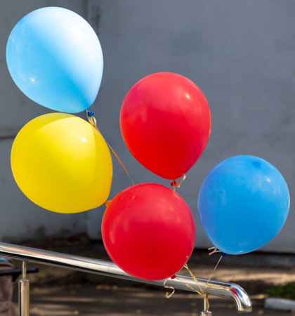 Multi-colored holiday balls in the park. Close-up.の写真素材
