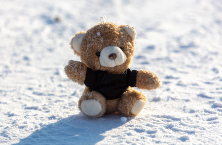 Teddy bear on white snow in winter.の写真素材