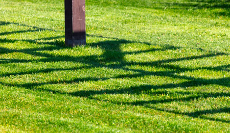 The shadow of the canopy on the green lawn as a background.の写真素材