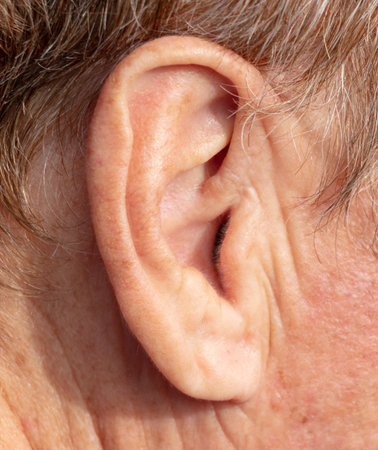 Close-up of an elderly man's ear. Macro.