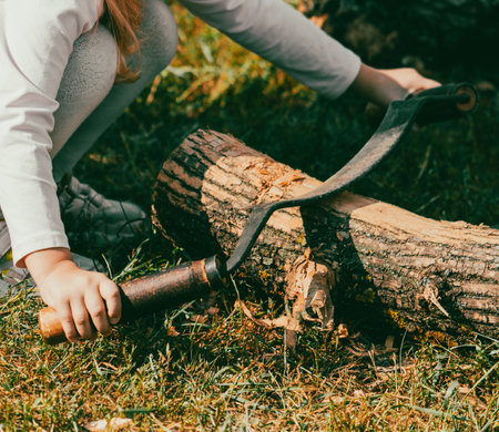 A girl whittles the bark of a tree with a tool.の写真素材