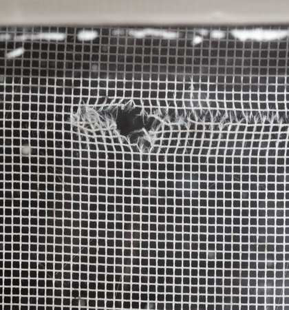 A hole in the mosquito net. Background.の写真素材
