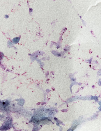 Bilberry stains on white paper. Abstract background.の写真素材