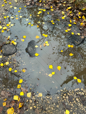 Puddle on a broken road in autumn.の写真素材