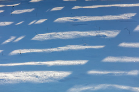 Shadow from a wooden fence on the snow in winter.の写真素材