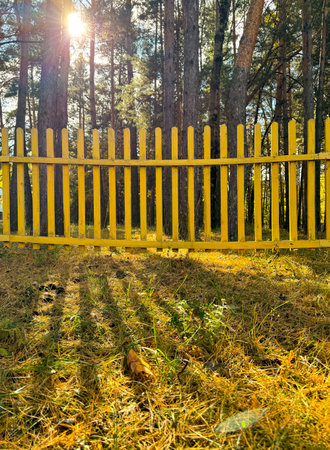 Yellow wooden fence in nature. Background.の写真素材
