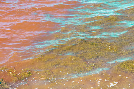 Multi-colored water with algae on the river as a background.の写真素材