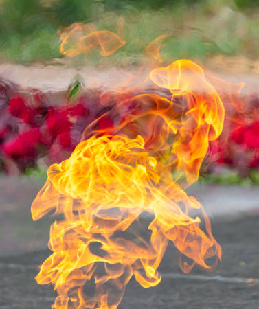 Fire flames in the park as an abstract background.の写真素材