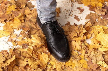 Male legs in shoes on autumn leaves.