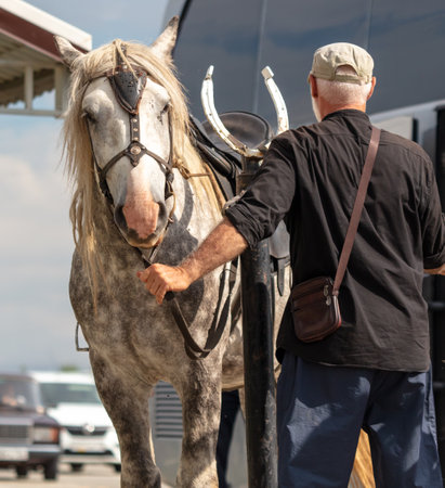 A man holds a horse by the bridle.の写真素材