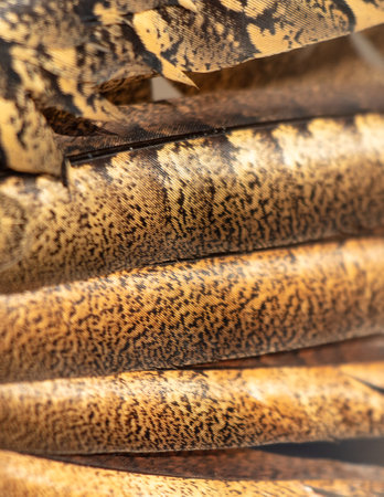 Pheasant feathers as an abstract background. Texture.