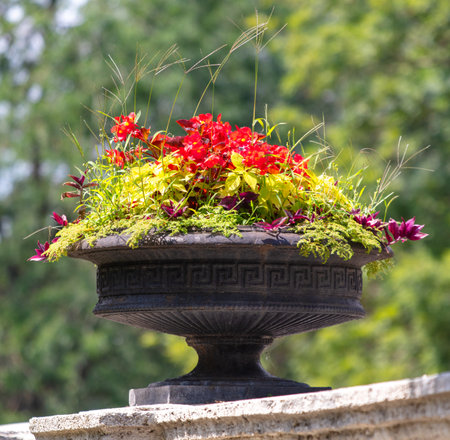 Beautiful flowers in a flowerbed in the park.の写真素材