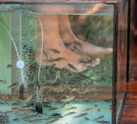 A girl on her feet is peeling fish in an aquarium.の写真素材