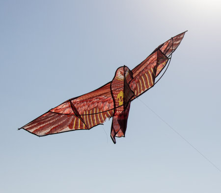 A kite in flight in the sky.の写真素材