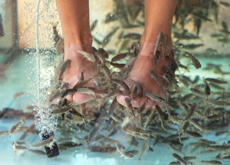 A girl on her feet is peeling fish in an aquarium.の写真素材