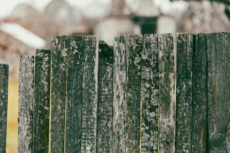 Boards on an old wooden fence as an abstract background. Texture.