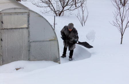 A woman cleans snow with a shovel near a greenhouse.