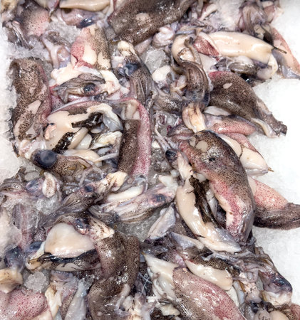 Fresh octopuses in ice on a counter in a market.
