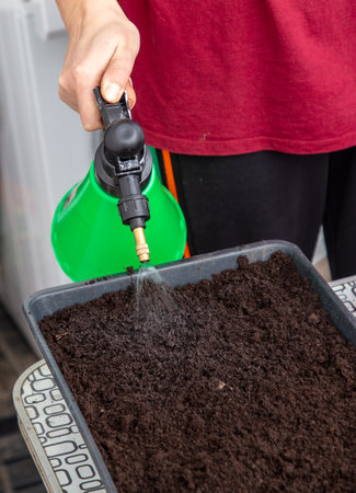 A woman plants seeds in the ground. Sprinkles with water.