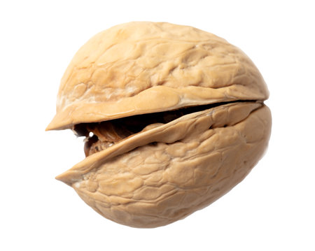 Chopped walnut isolated white background. Close-up