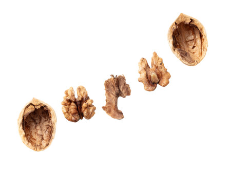 Chopped walnut isolated white background. Close-up