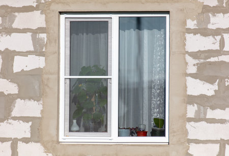 White plastic window on the wall of a house with a green plant.