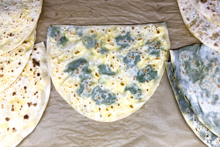 Fried Ossetian flatbread with filling.