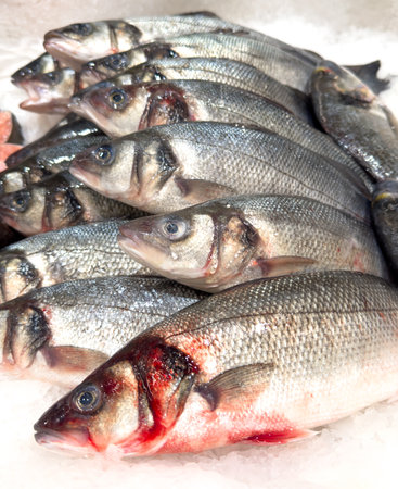 Trout fish in ice on a counter in a market as a background.