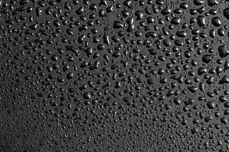 Water drops on a black background. Texture.の写真素材