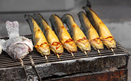 Catfish is grilled on skewers over coals.の写真素材