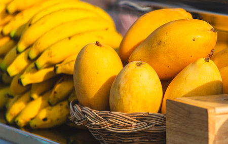 Yellow mango on a counter in a market.の写真素材