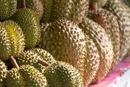 Durian fruit as background. Close-up.