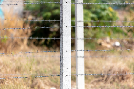 Barbed wire in nature as a background.の写真素材