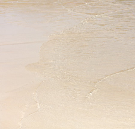 White sand on the seashore as an abstract background. Texture.の写真素材