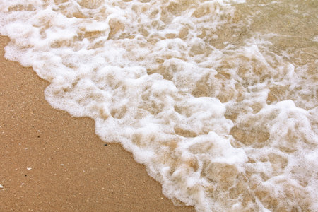 Yellow sand on the seashore as an abstract background. Texture.の写真素材
