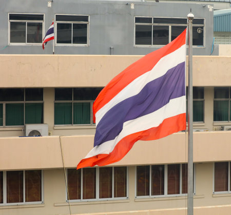 The flag of Thailand hangs in the city.の写真素材