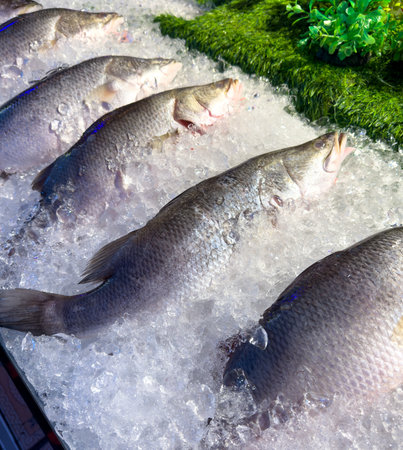 Fish on ice at the market.