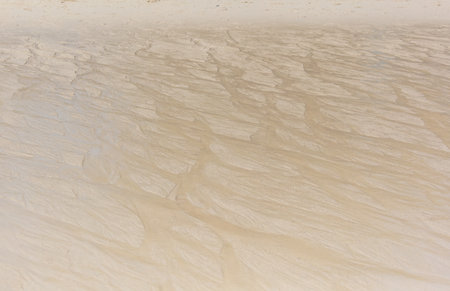 White sand on the seashore as an abstract background. Texture.