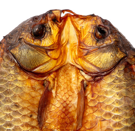 Smoked crucian fish isolated white background.