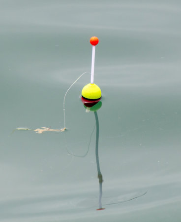A float from a fishing rod floats on the water.の写真素材