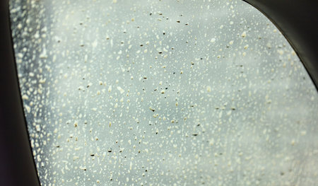 Dirt on the car glass.