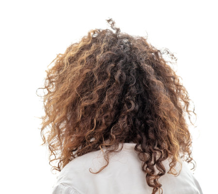 Curly girl isolated on white background. Back view.の写真素材